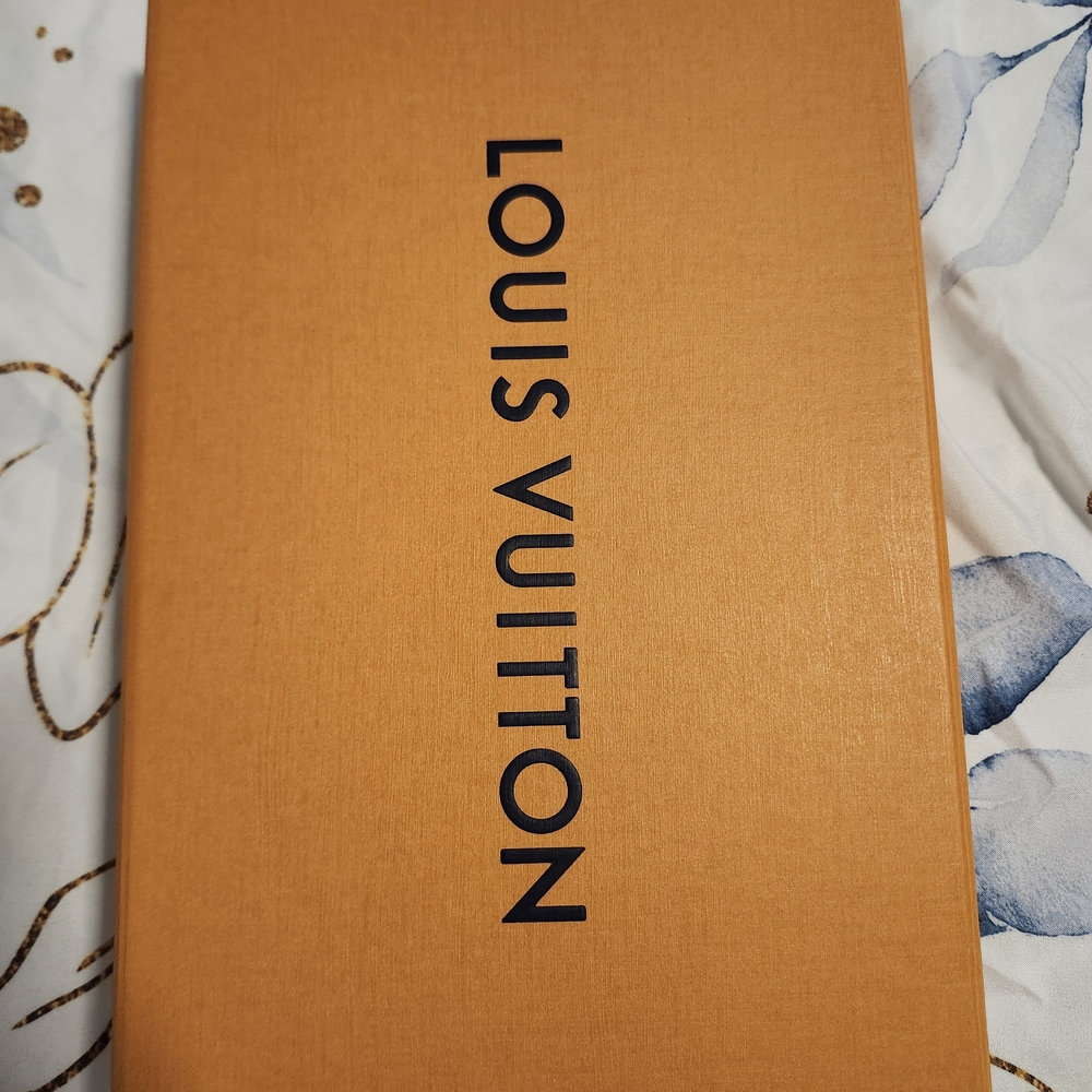 Louis Vuitton White and Tan Checkered Bag - Picture 7 of 12